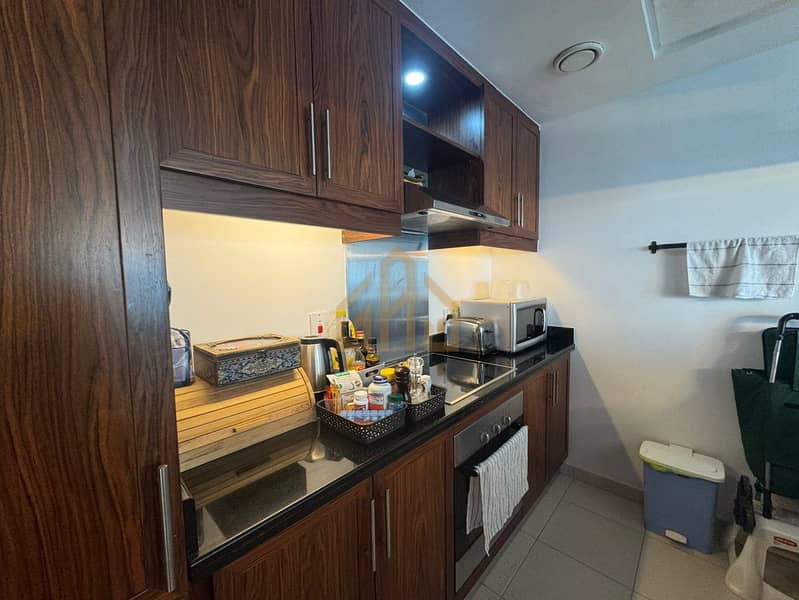 FULLY FURNISHED| COMMUNITY VIREW| BEST PRICE