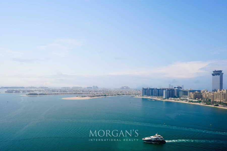 Brand New | Palm View | Spacious Layout - Image 28