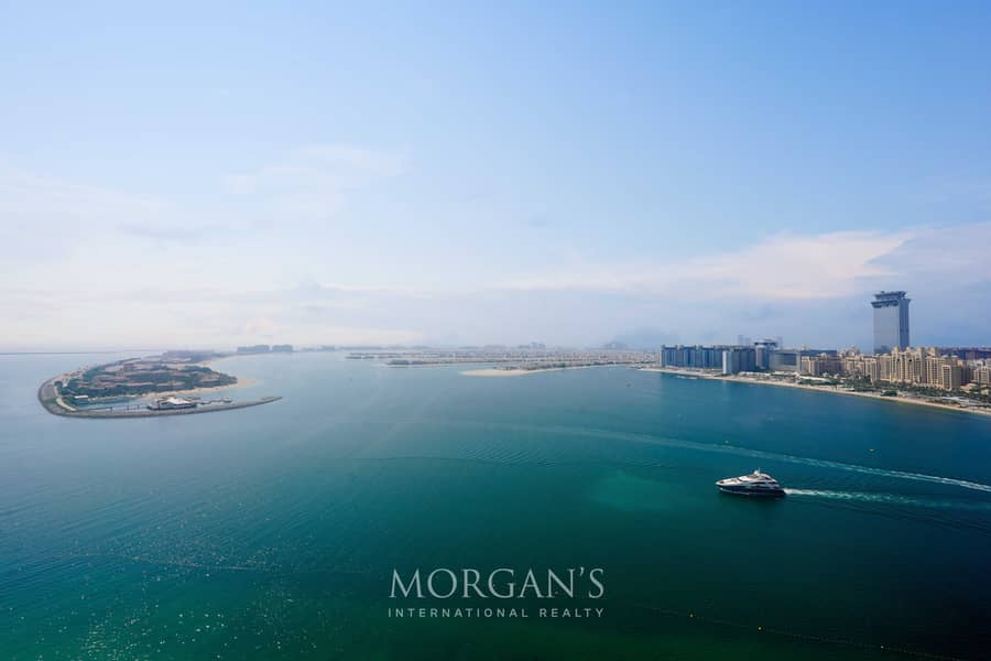 Brand New | Palm View | Spacious Layout - Image 29