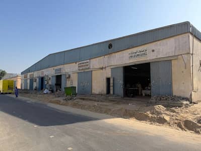 Warehouse for Rent in Industrial Area, Sharjah - WhatsApp Image 2025-11-21 at 12.33. 55 PM. jpeg Warehouse for Rent in Industrial Area, Sharjah - WhatsApp Image 2025-11-21 at 12.33. 55 PM. jpeg