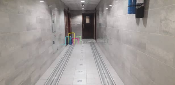 *Sea View*Below Market Price* Fully Renovated 2 BR Hall *Sea View*Below Market Price* Fully Renovated 2 BR Hall