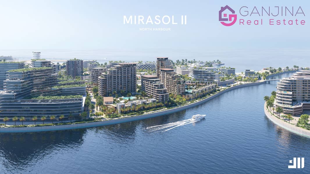 5 Mirasol II 6. jpg