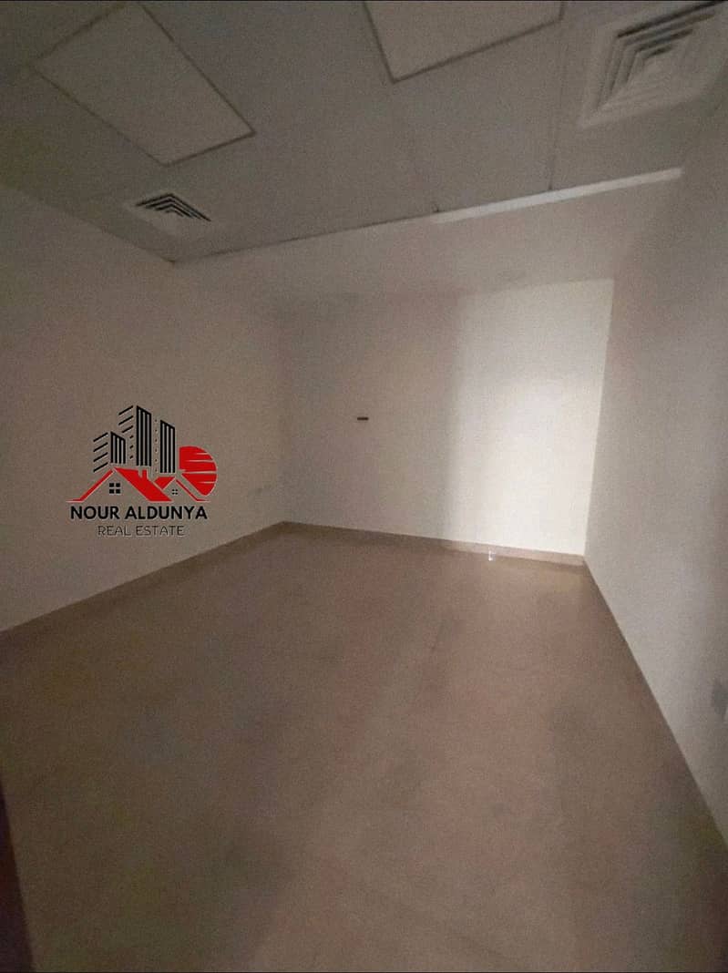 5 184889. jpg