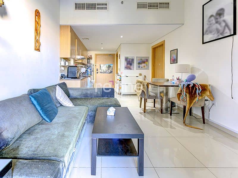 Investor Deal | Stylish 1BR | Ready to Move In