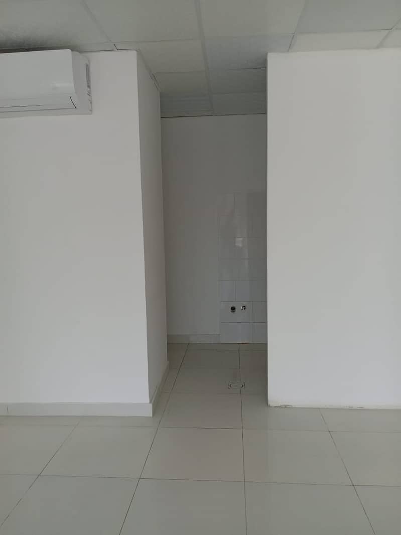 4 49464. jpg
