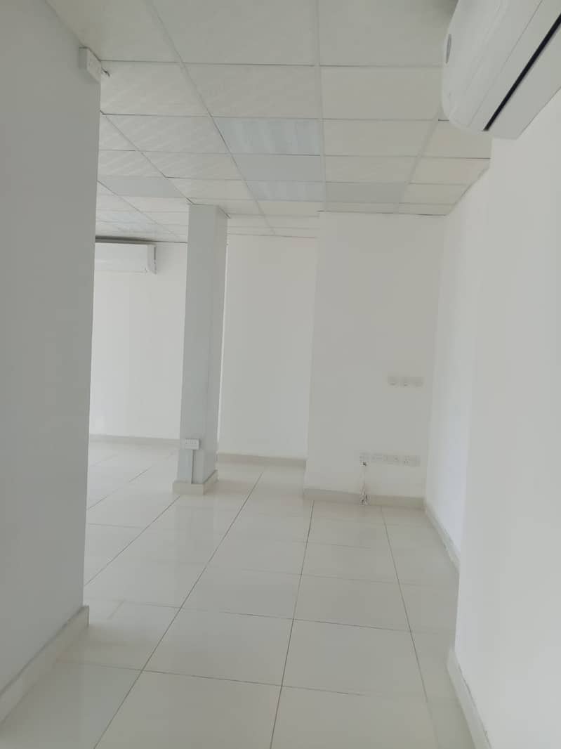 5 49473. jpg