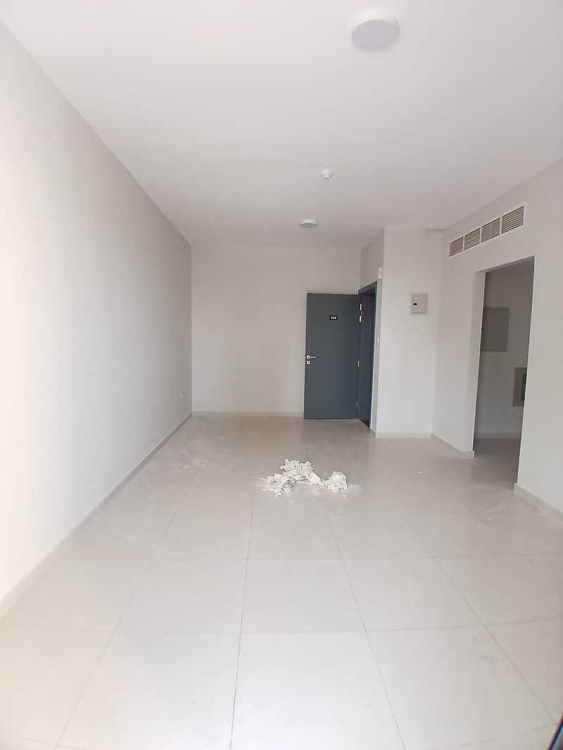 3 65547. jpg