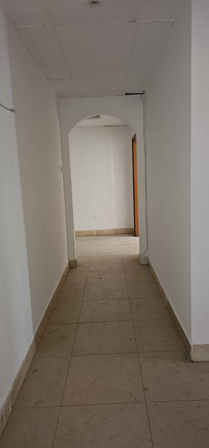 16 54558. jpg