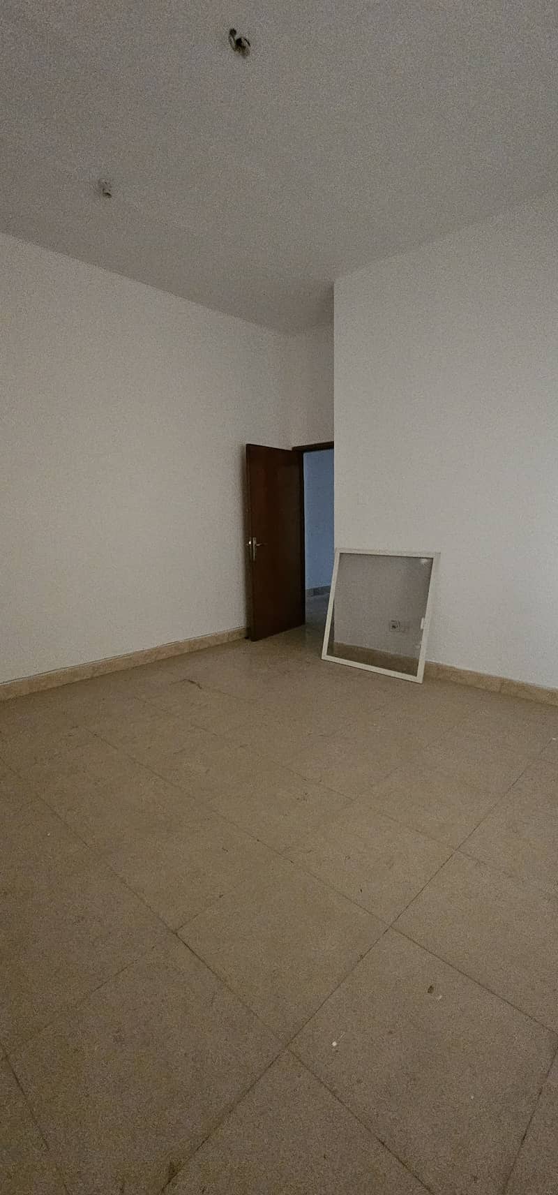 17 54509. jpg