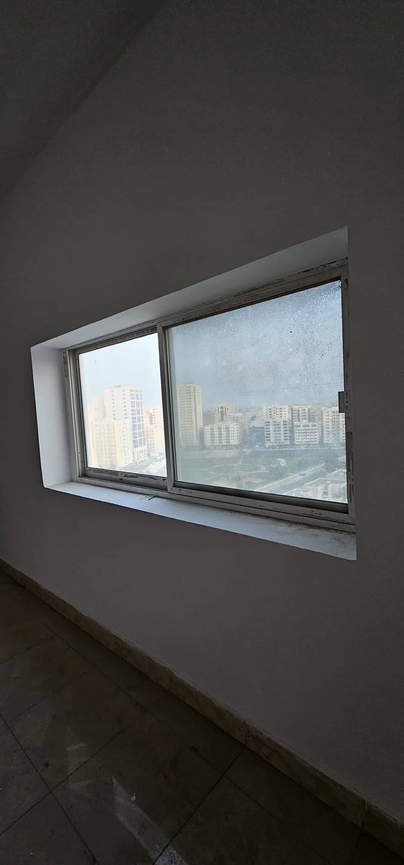20 54462. jpg