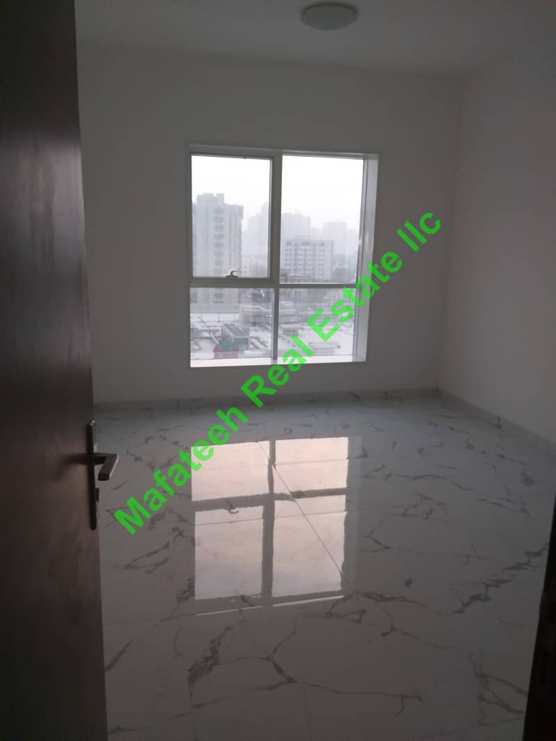 Brand New One Bedroom and hall For Rent in Oasis Tower 2 Brand New One Bedroom and hall For Rent in Oasis Tower 2