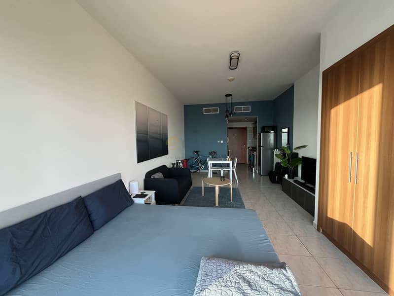 From Jan 1 | Fully Furnished | Lower Floor