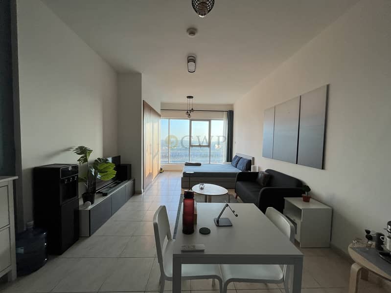 From Jan 1 | Fully Furnished | Lower Floor