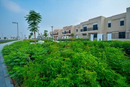 Brand New Single Row 3BR+M Safi Townhouse Brand New Single Row 3BR+M Safi Townhouse