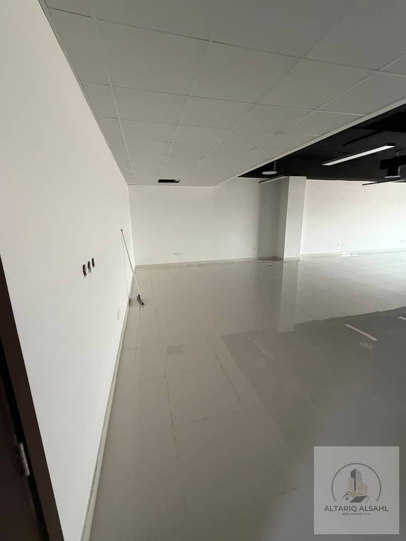 5 118036. jpg