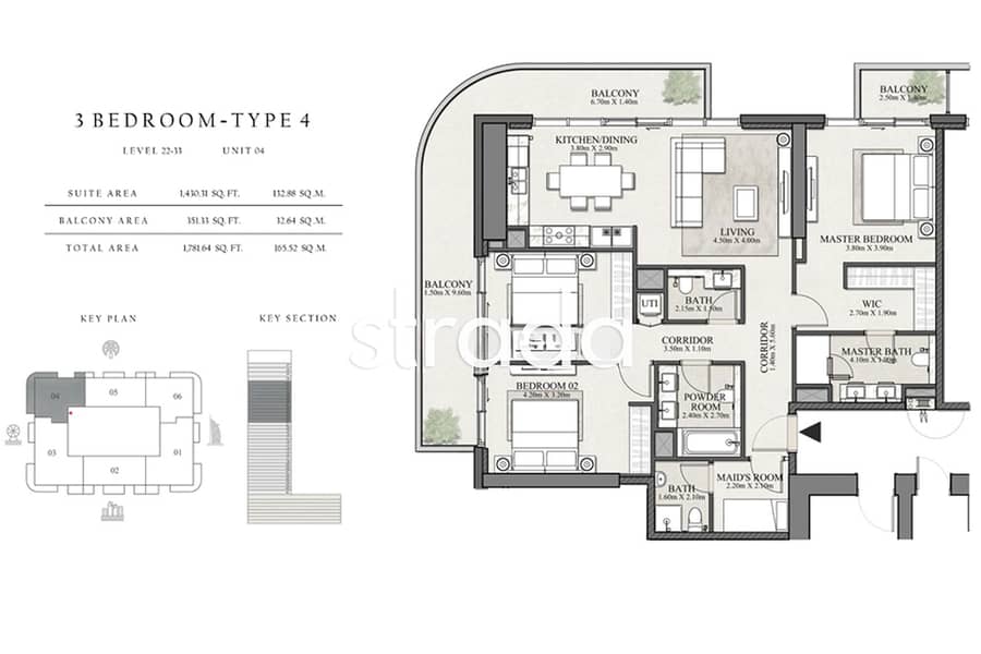 EXCLUSIVE | 04 SERIES | PALM VIEWS - Image 10