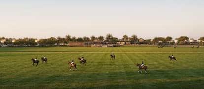 Chevalia Fields Chevalia Fields