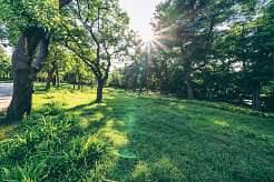 Park View | Mid Floor | Motivated Seller