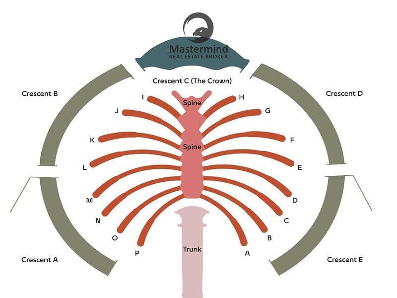Premium Plot | Next to TIP | Sunset view