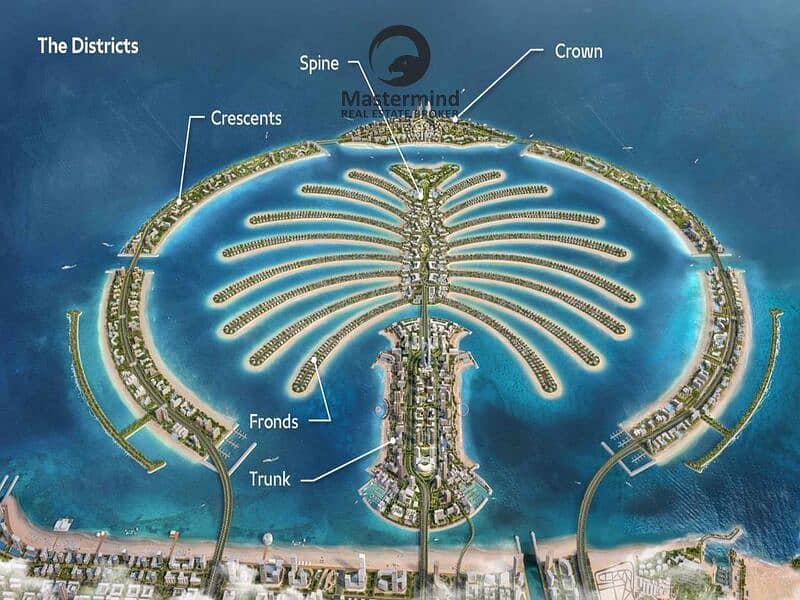 Premium Plot | Next to TIP | Sunset view - Image 6