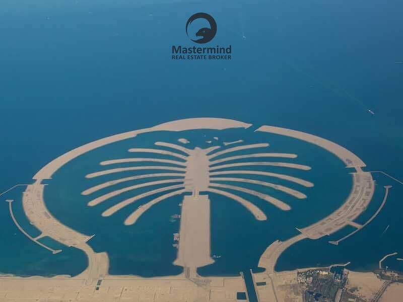 Premium Plot | Next to TIP | Sunset view - Image 9