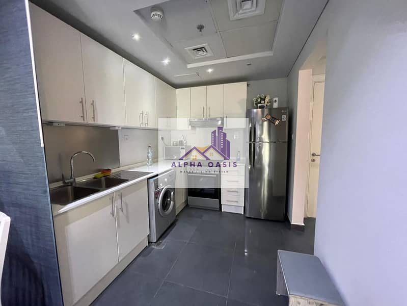 Fully Furnished/ Ready to Move/ Luxurious - Image 14