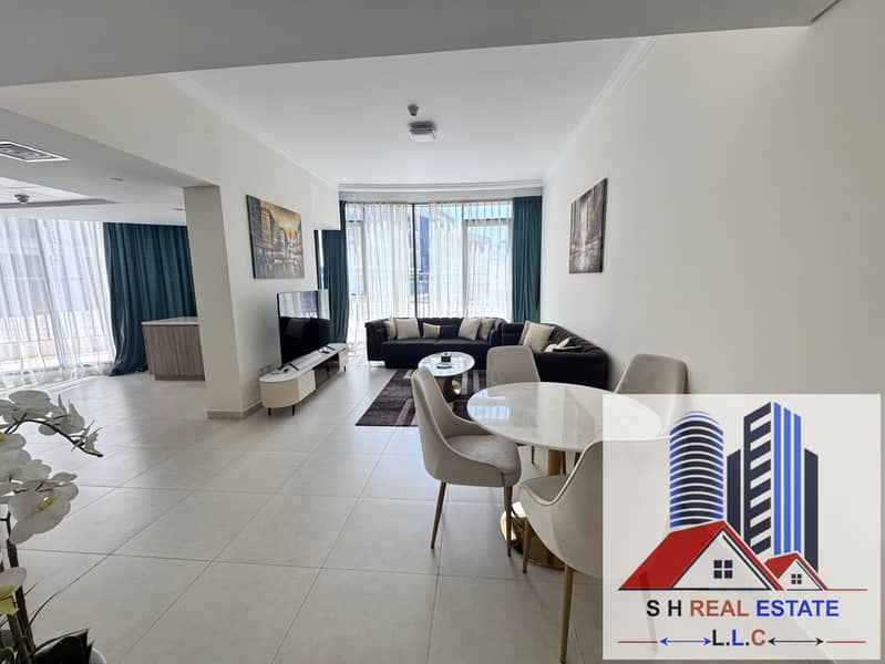 SPACIOUS APARTMENT 1 bedroom fully furnished