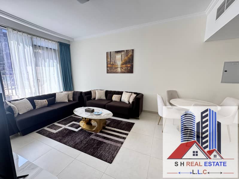 SPACIOUS APARTMENT 1 bedroom fully furnished