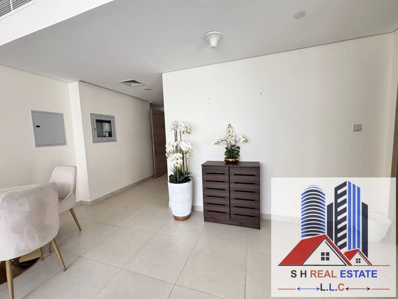 SPACIOUS APARTMENT 1 bedroom fully furnished