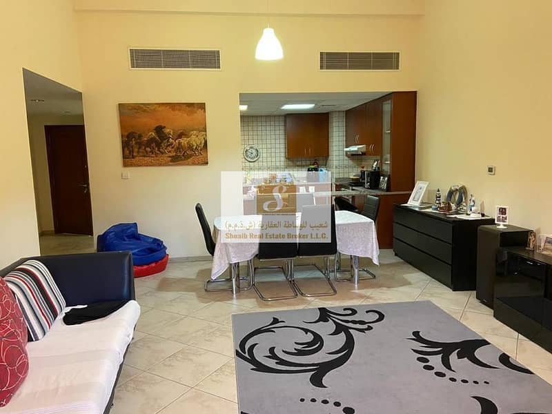 Ground Floor | Super Spacious | Available From End Of January