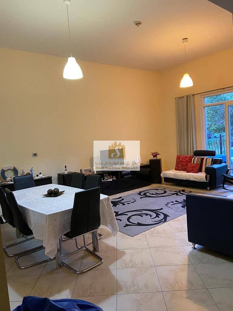 Ground Floor | Super Spacious | Available From End Of January - Image 11