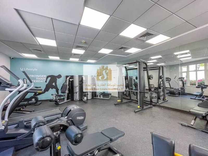 Ground Floor | Super Spacious | Available From End Of January - Image 12