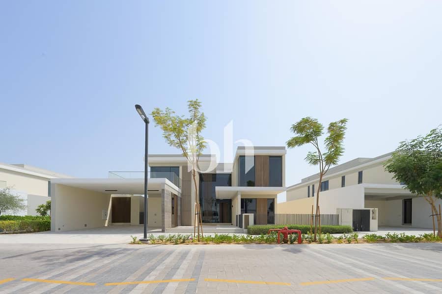 Brand New | Park Backing | Exclusive