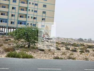 Участок Продажа в Аль Салама, Умм-эль-Кайвайн - WhatsApp Image 2024-07-30 at 5.21. 23 PM (1). jpeg Участок Продажа в Аль Салама, Умм-эль-Кайвайн - WhatsApp Image 2024-07-30 at 5.21. 23 PM (1). jpeg