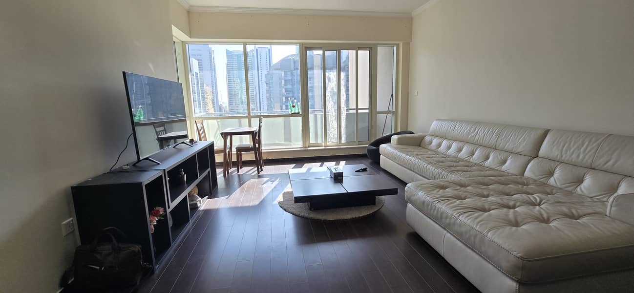 Large Upgraded Semi-furnished 1 Bedroom + Store