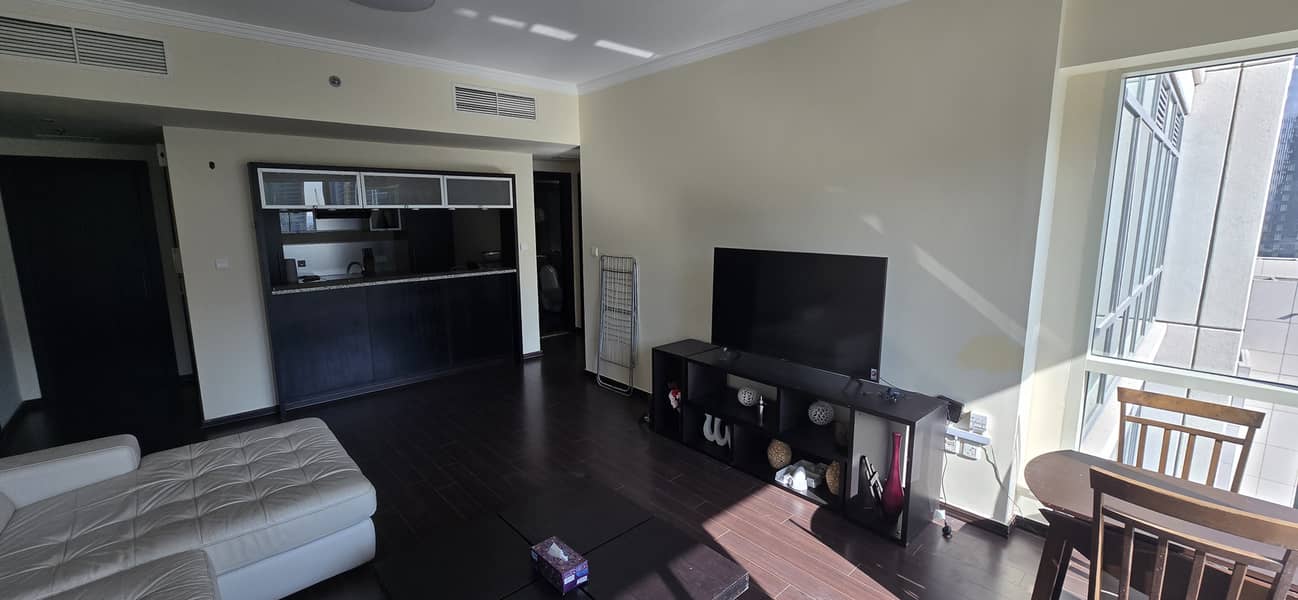Large Upgraded Semi-furnished 1 Bedroom + Store