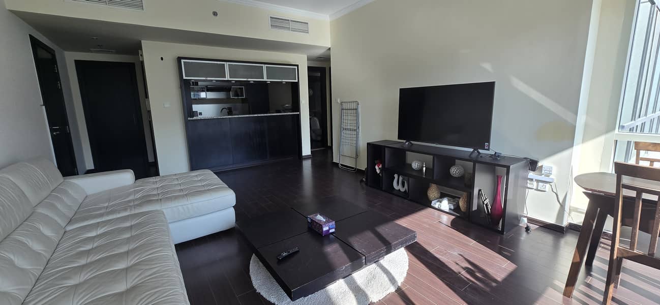 Large Upgraded Semi-furnished 1 Bedroom + Store