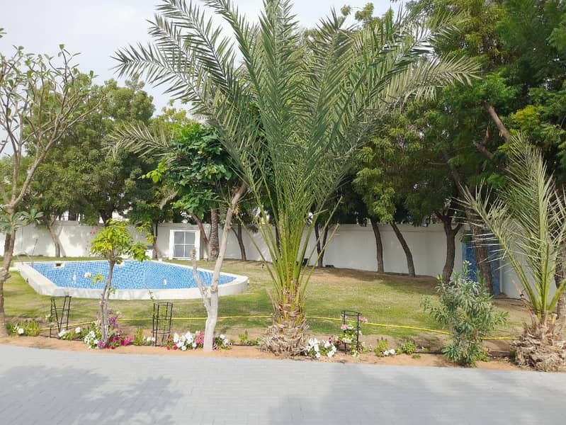 Spacious 4BR Villa | Pool & Garden | Al Mizhar 1 - Image 9