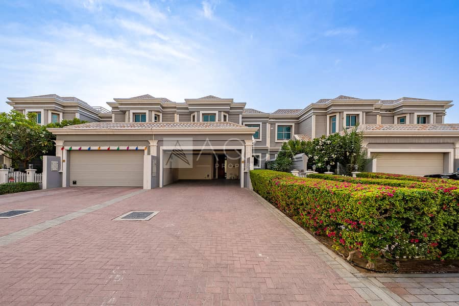 SINGLE ROW | UPGRADED | VOT | BIG PLOT