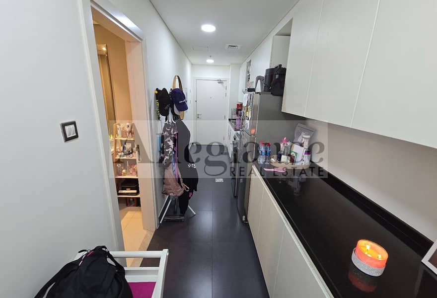 Golf And Park View | Large Layout | Furnished - Image 8