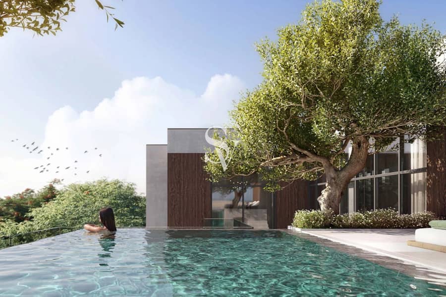 Middle of the Forest | Luxury Cluster | LARGE Size