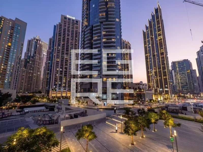 Downtown View | Big Layout | Tenanted - Image 13