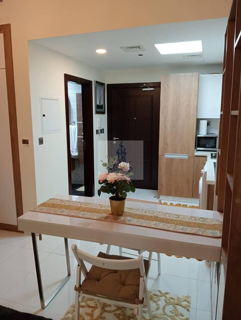 Fully Furnished And Very Specious Studio Apartment For Rent - Image 9