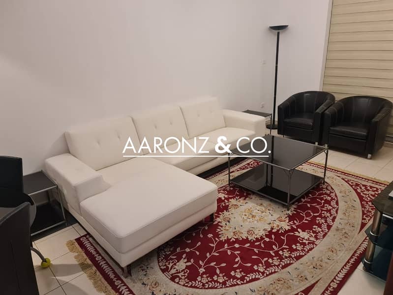 Fully Furnished | Lake View | Well-maintained