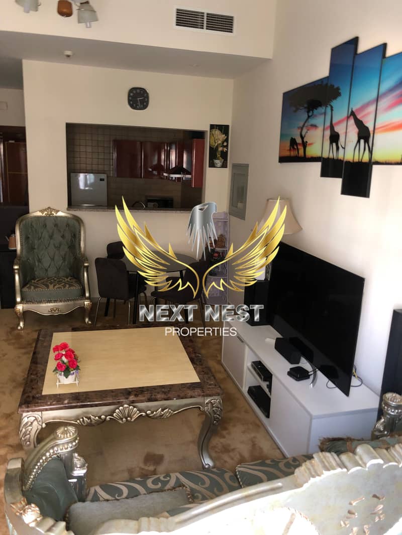 Bright and Spacious 1BR Apartment | Ready To Move In