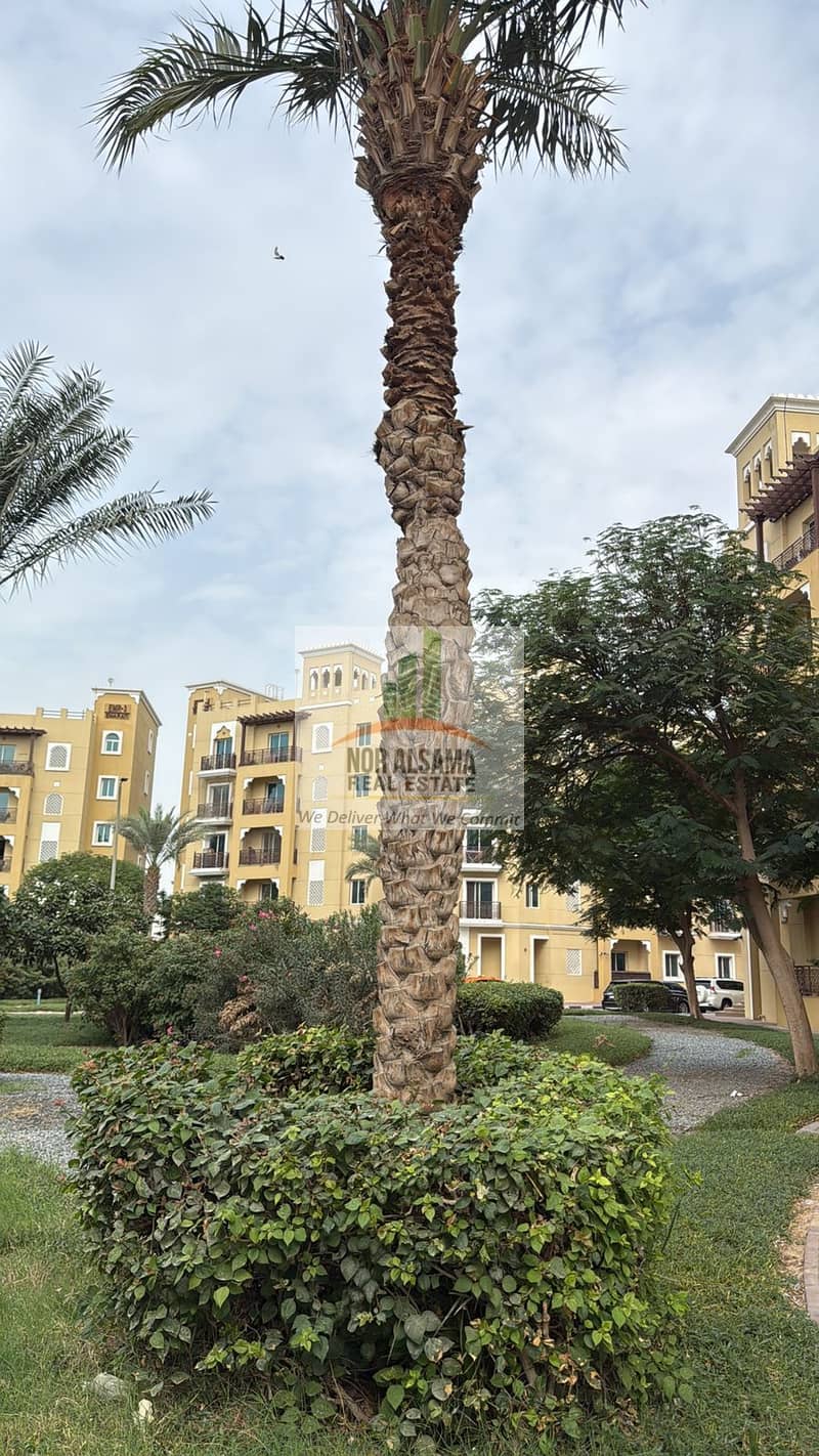 Vacant Beautiful Extra Large And Open View One Bhk In Emirates Cluster With Double Balconies Just In 550000k