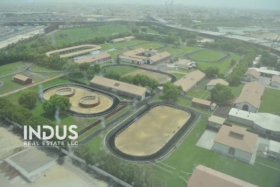 Ready to Move | Racetrack View | High Floor - Image 11