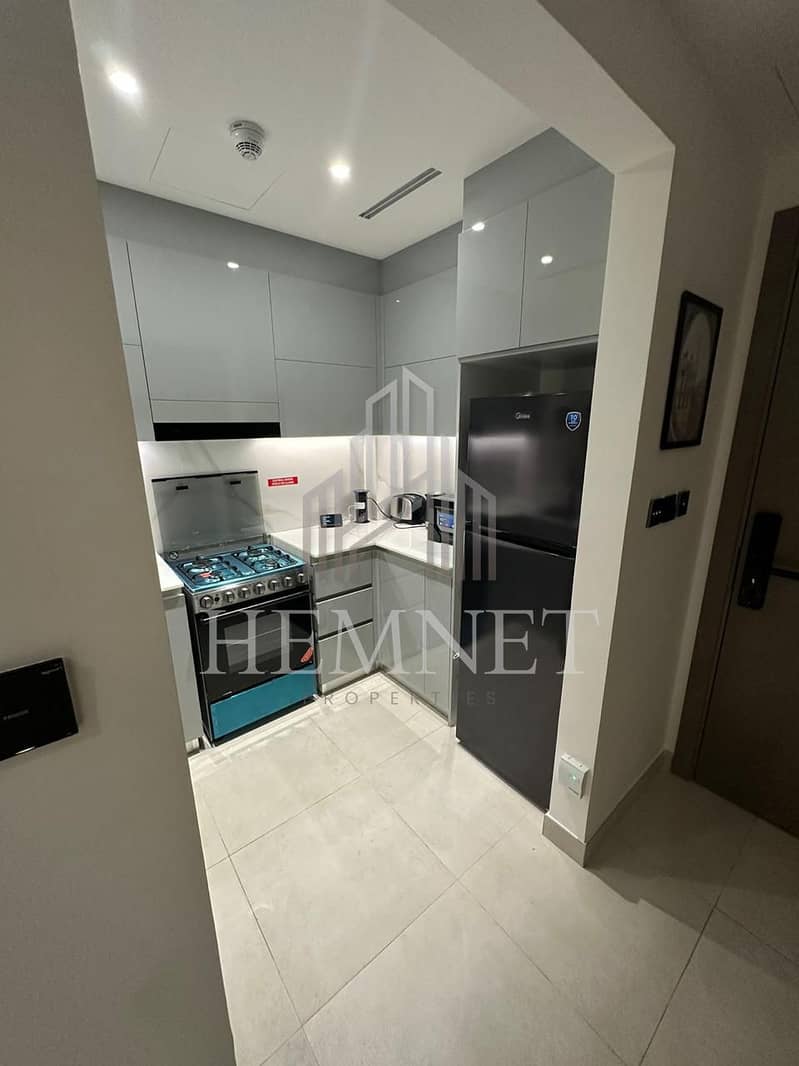 Fully furnished | Multiple Payments | Vacant - Image 7