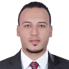 Hossam Salah Eldin Hassan Hossam Salah Eldin Hassan