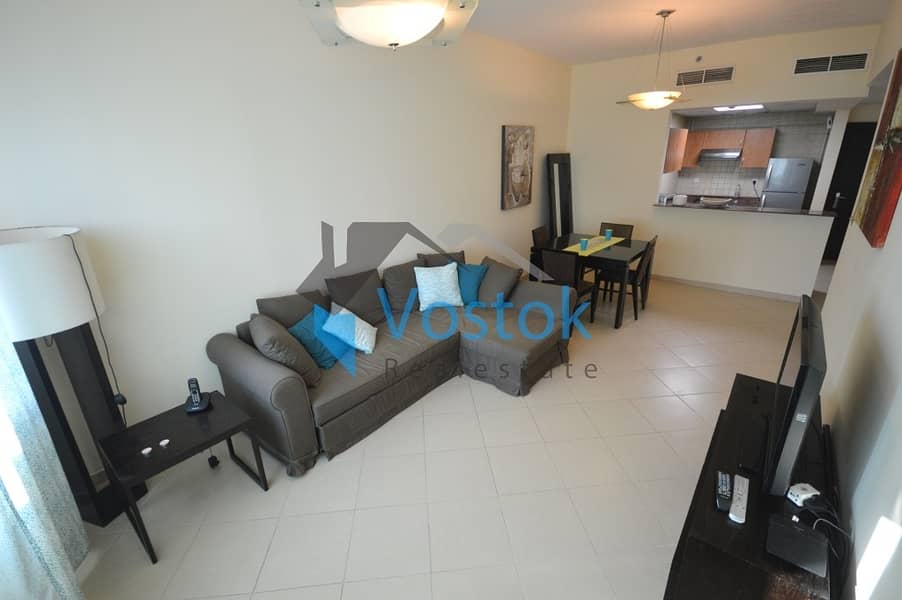 Chiller Free|1 Bedroom Fully Furnished| Diamond-5